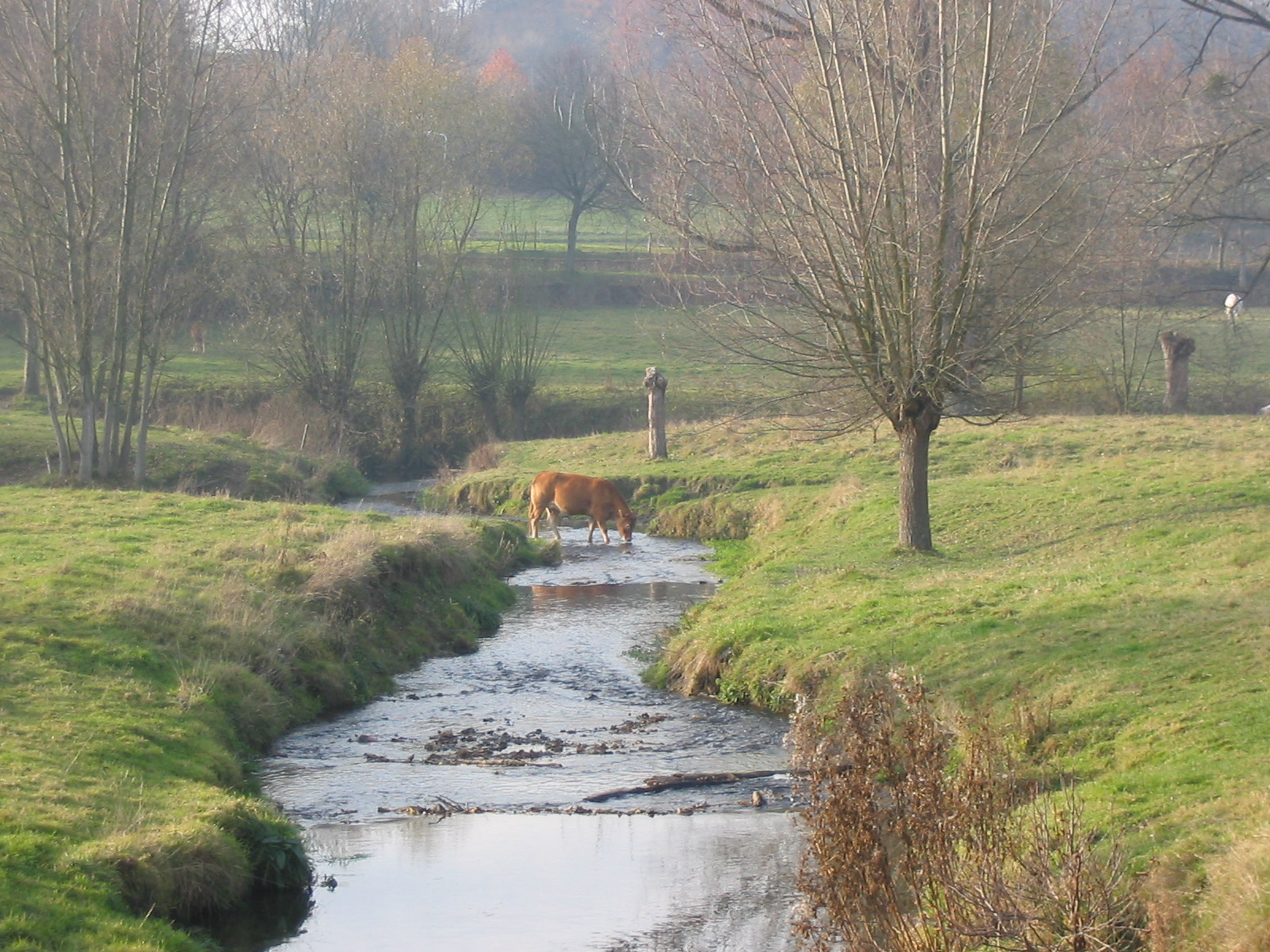 Schilder in Beek